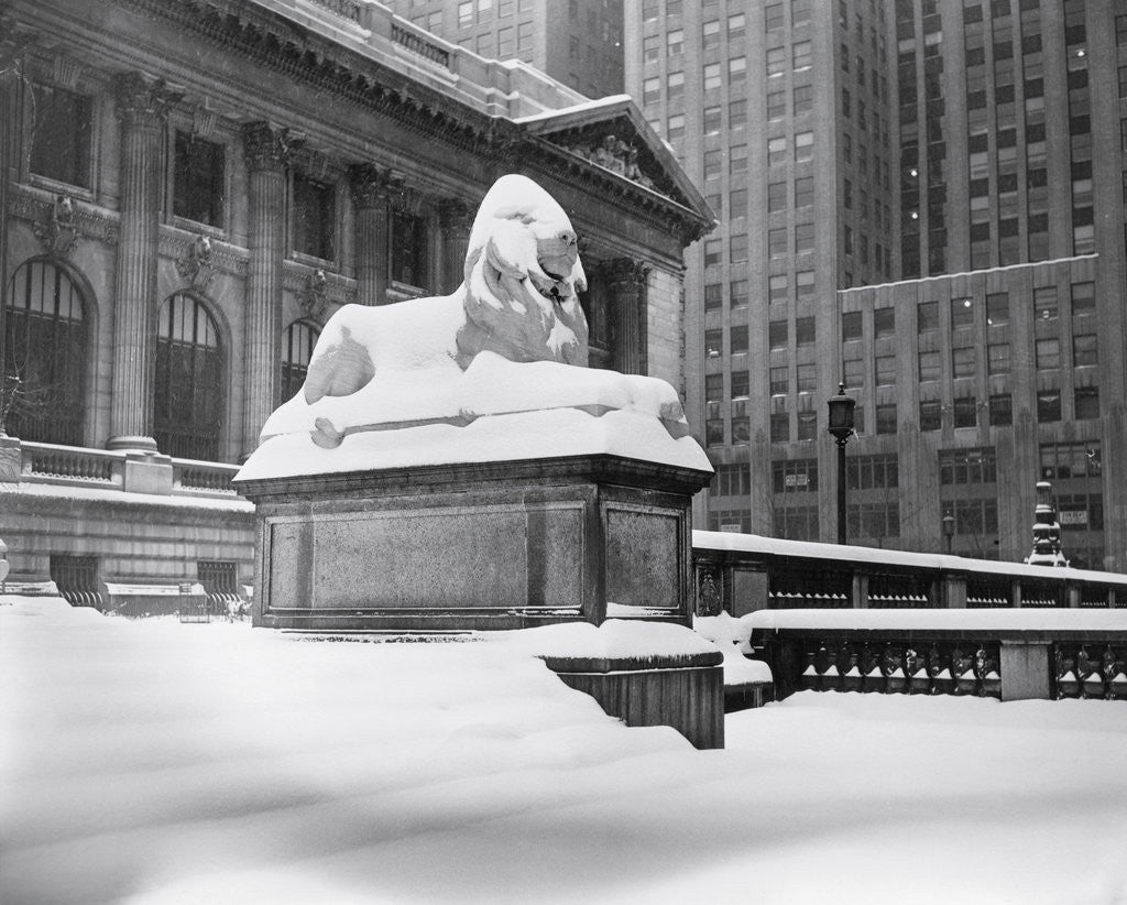 Detail of View of New York Public Library by Anonymous