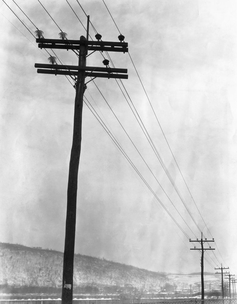 Detail of Telephone Poles in Snowy Weather by Anonymous