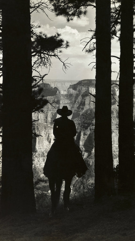Detail of Shadow of Cowboy Sitting in Tree line by Anonymous