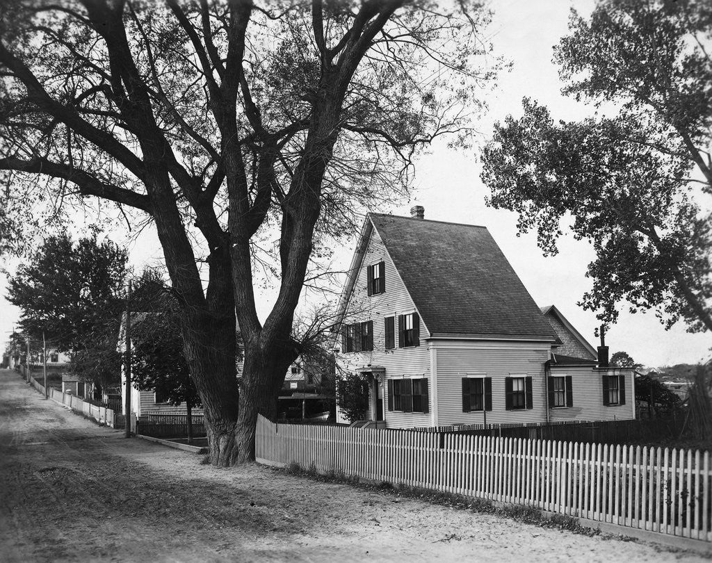 Detail of A Street in a Cape Cod Town by Anonymous