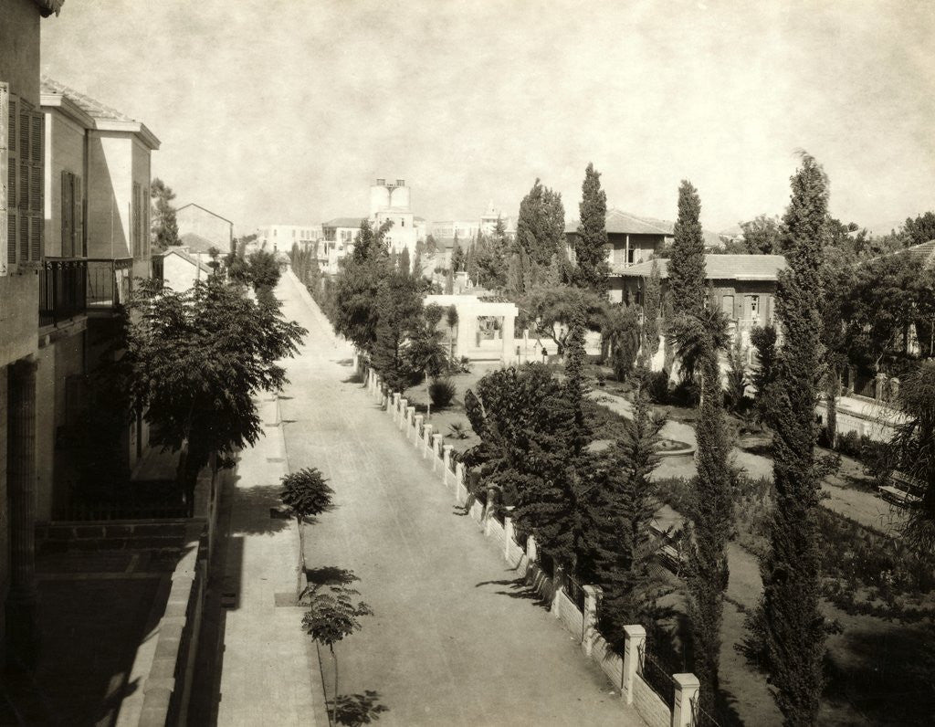 Detail of A Street in Tel Aviv by Anonymous
