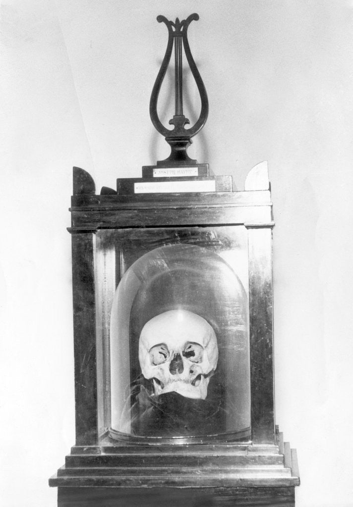 Detail of Skull of Composer Franz Josef Hadyn by Anonymous