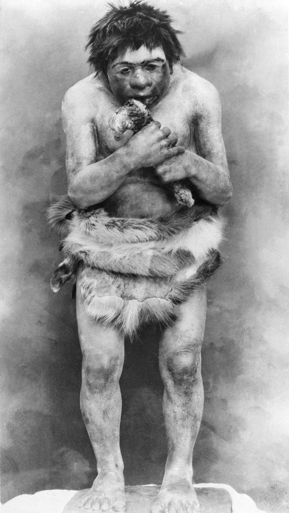 Detail of Neanderthal Man Chewing Bone by Corbis