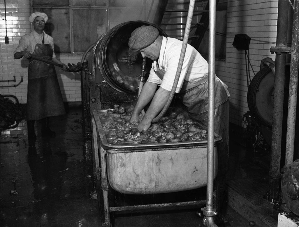 Detail of Carrot Powder making at Bristol by Staff
