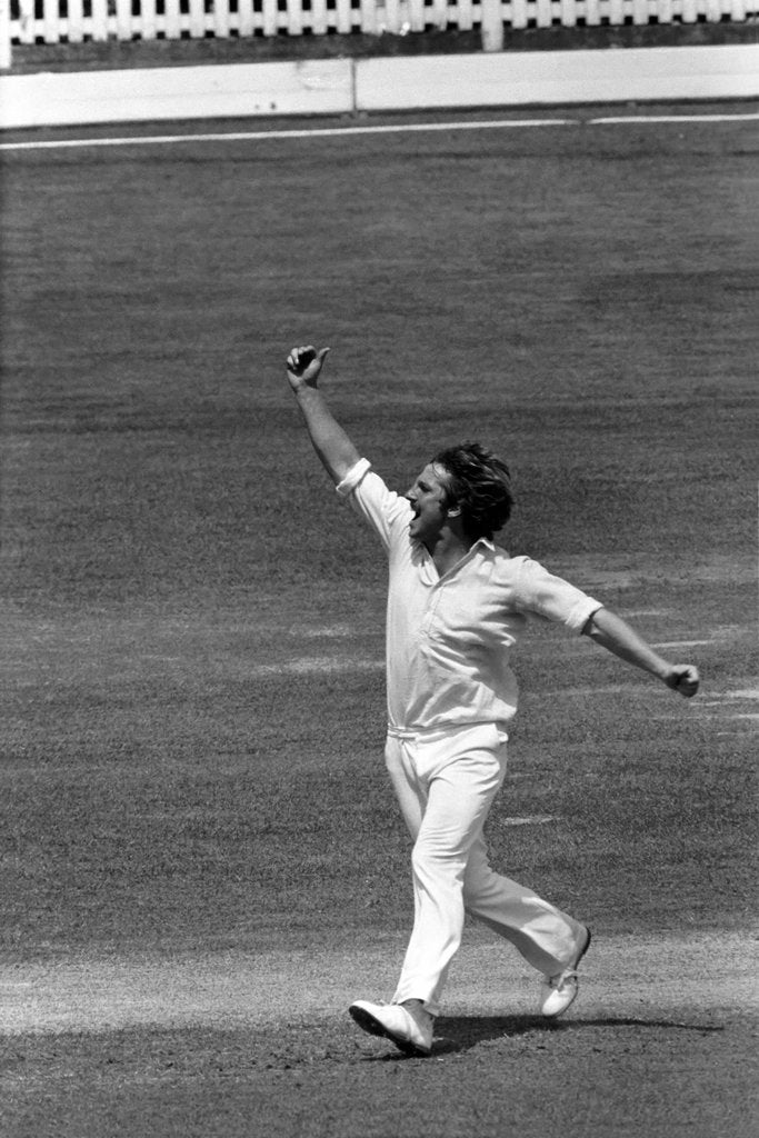 Detail of Ian Botham claims another victim by Anonymous