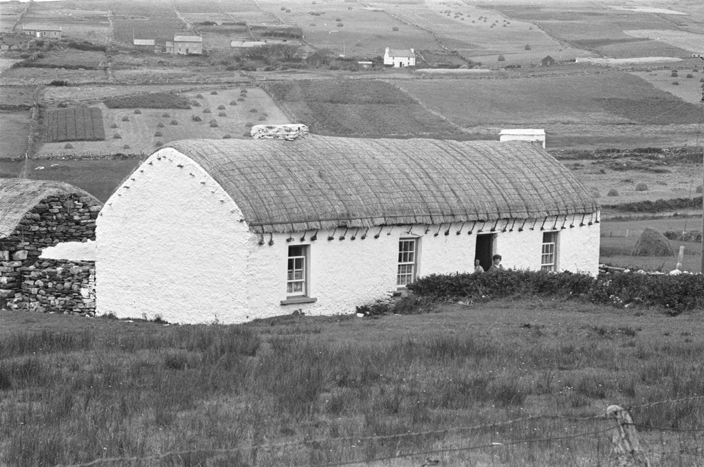 Detail of A traditional farmhouse with a thatched roof by Staff