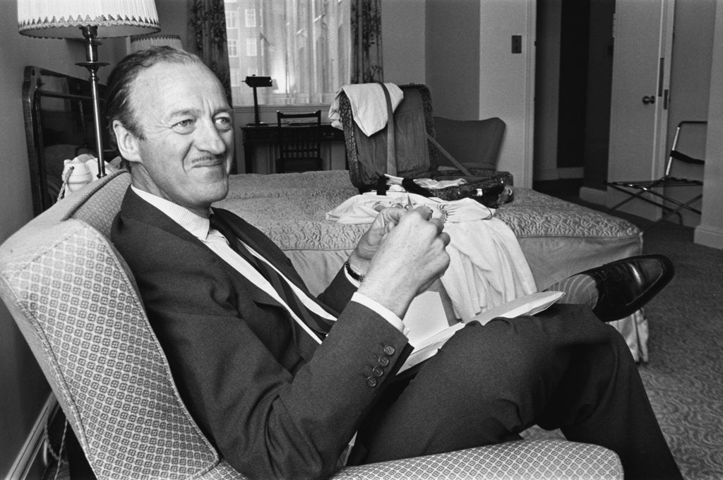 Detail of David Niven by Douglas Eatwell