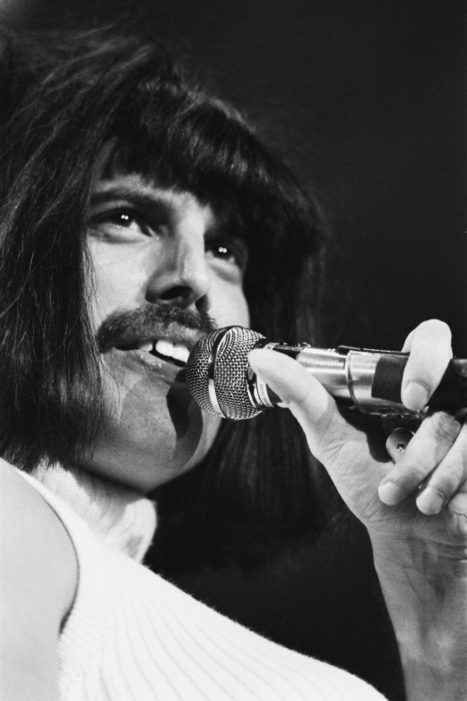 Detail of Queen at Wembley Arena by Anonymous