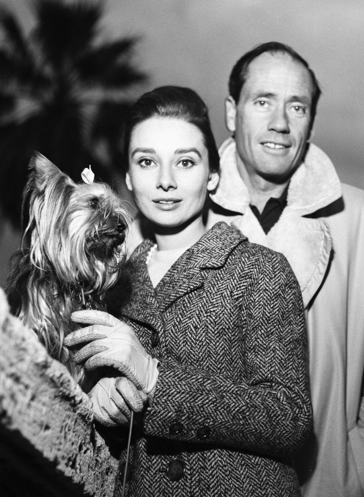 Detail of Audrey Hepburn with Mel Ferrer and their pet dog in Rome by Zwirn