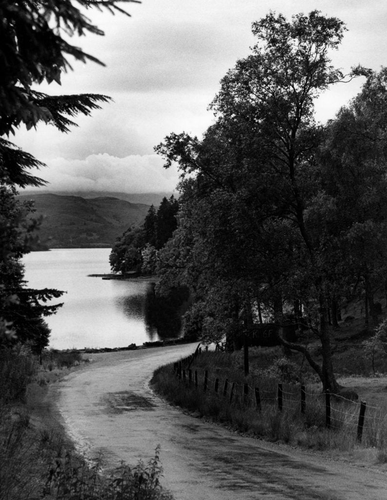 Detail of Roadside view of Loch Ard by Daily Record