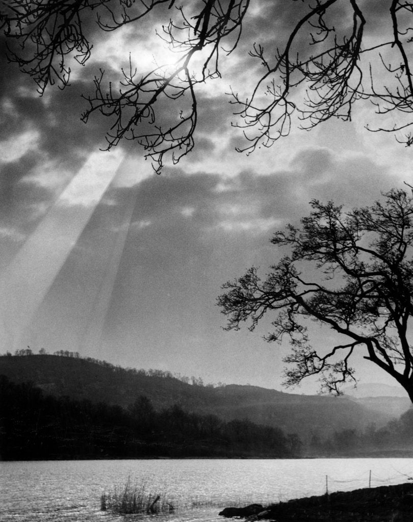 Detail of Loch Ard by Daily Record