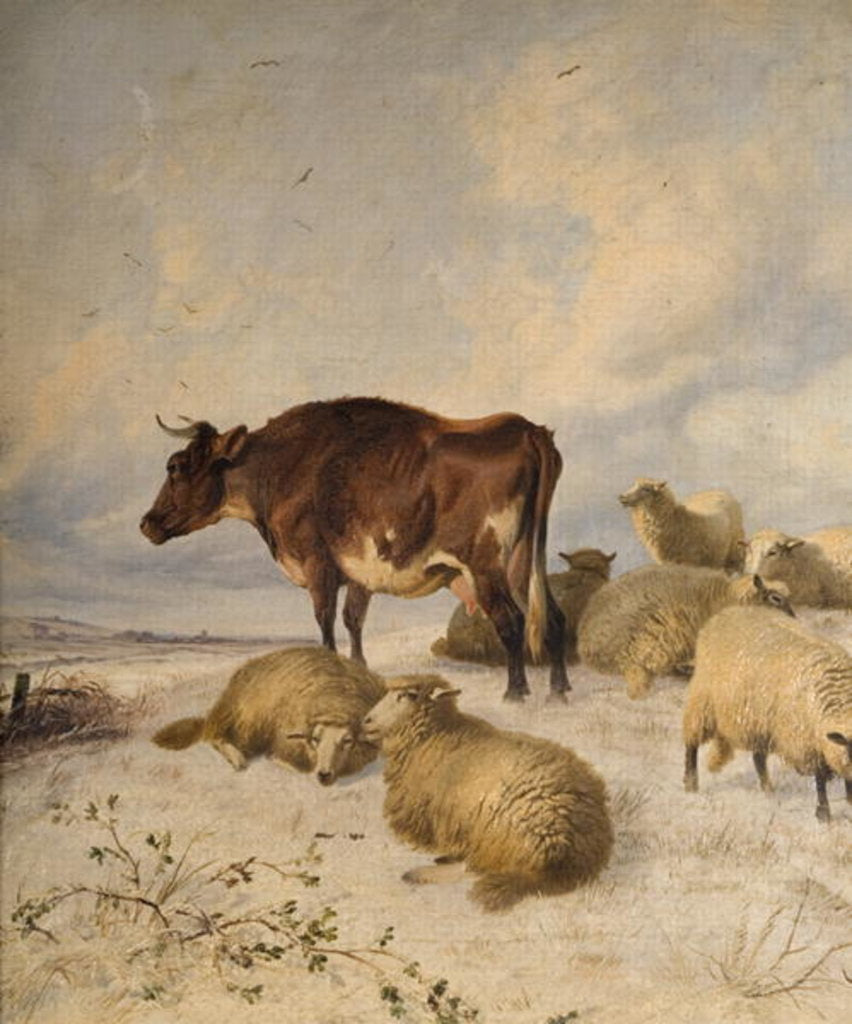 Detail of Cows and Sheep in Snowscape, 1864 by Thomas Sidney Cooper