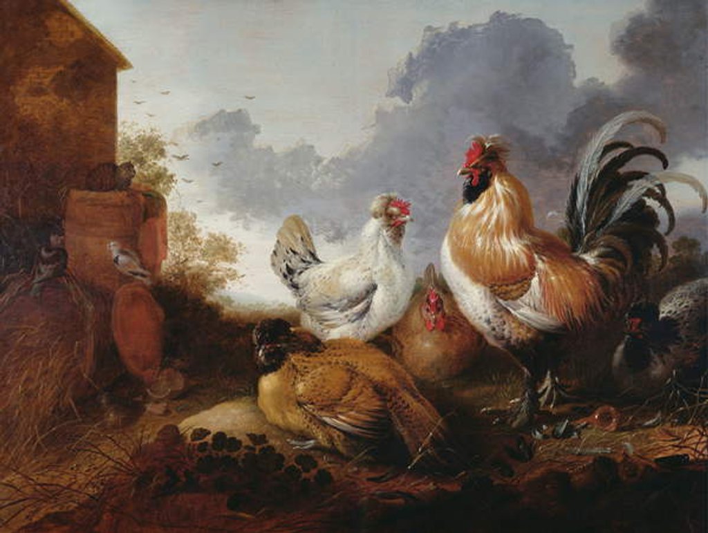 Detail of Poultry in a farmyard by Abraham van (attr. to) Calraet