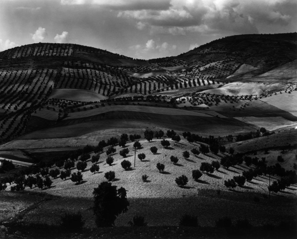 Detail of Guatemala Landscape, 1968 by Anonymous