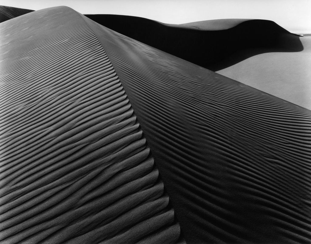 Detail of Dune, Oceano (#58) by Brett Weston