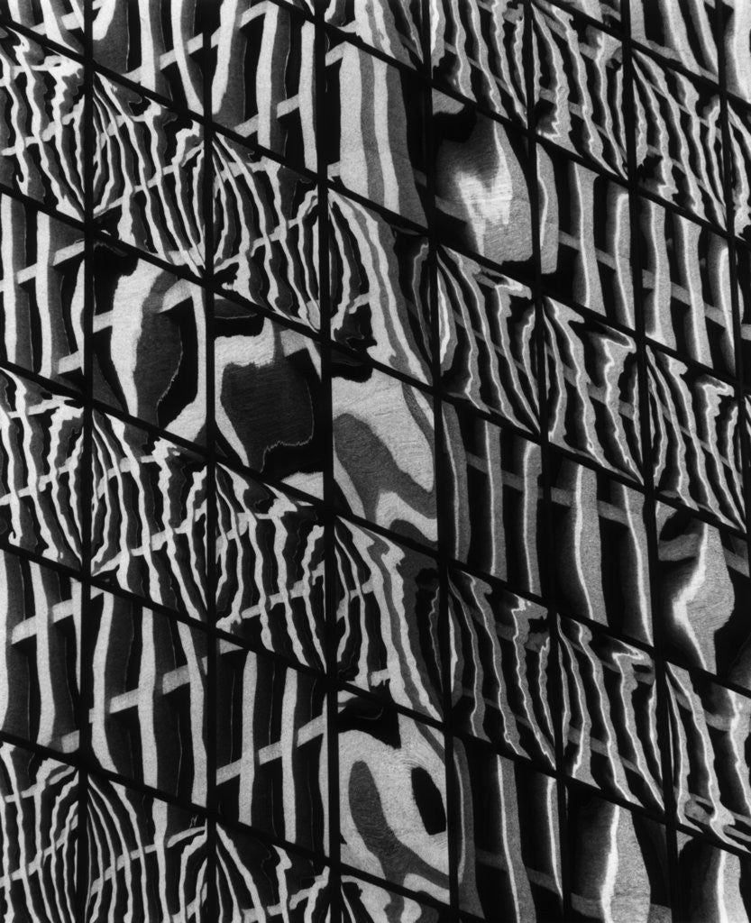 Detail of Window Reflections by Anonymous