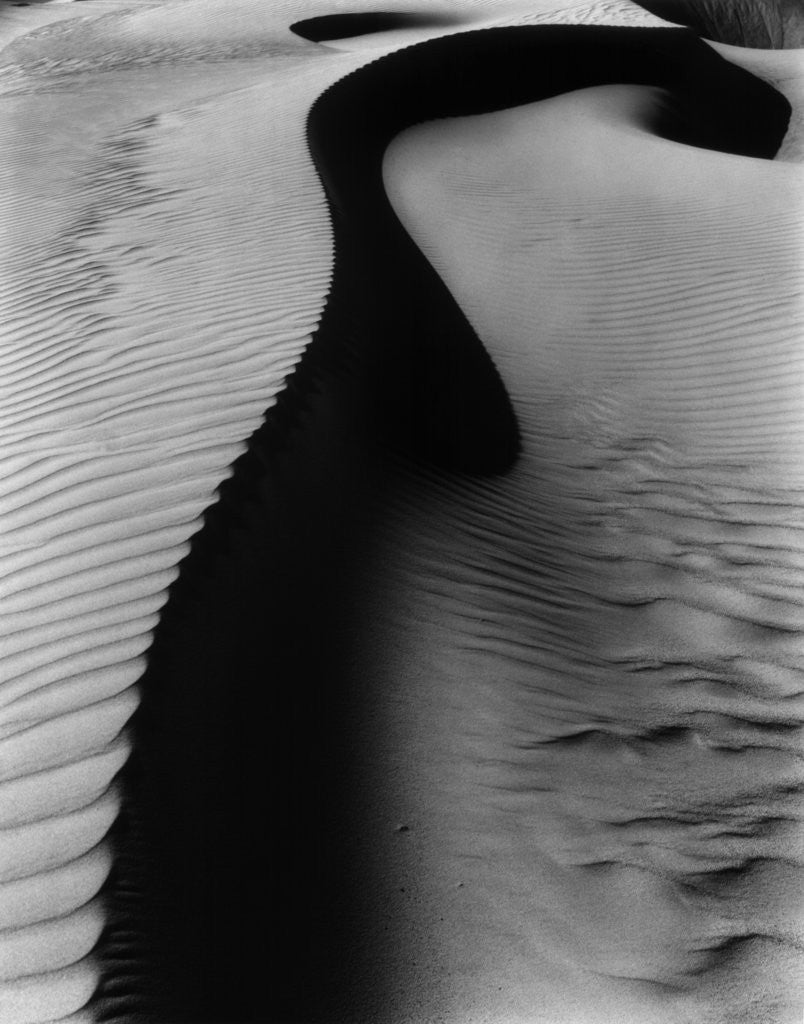Detail of Dune, Oceano by Brett Weston