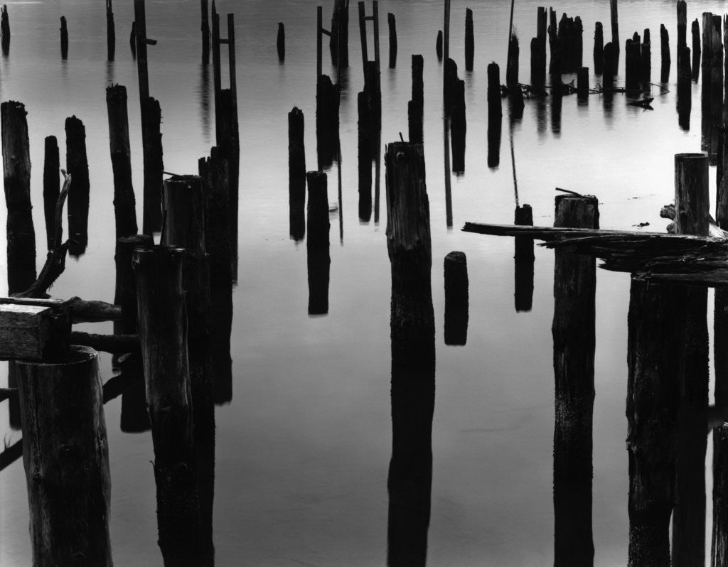Detail of Piles in Fog, 1968 by Anonymous