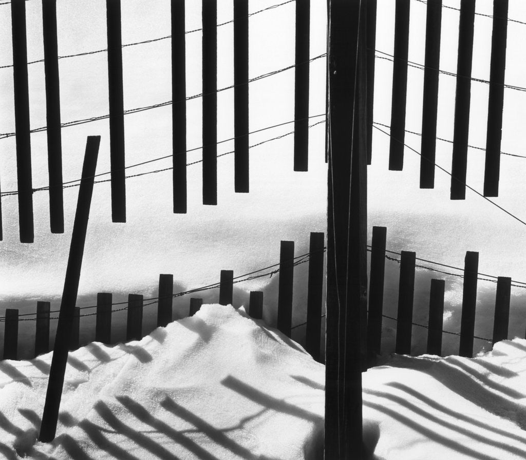 Detail of Fence in Snow, 1972 by Corbis