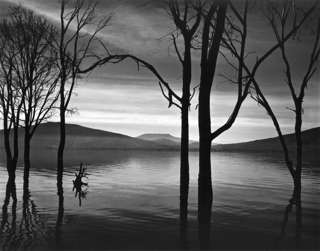 Detail of Lake Patzcuaro, Mexico 1976 by Anonymous