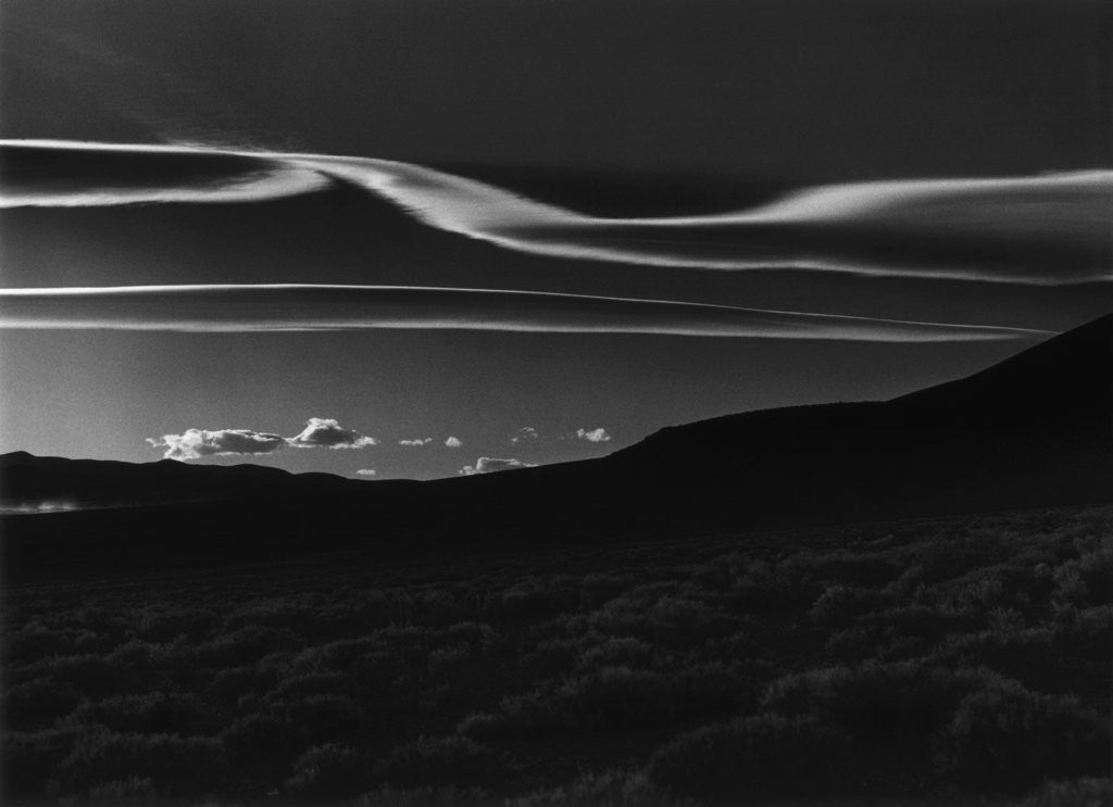 Detail of Desert Prairie, 1981 by Anonymous