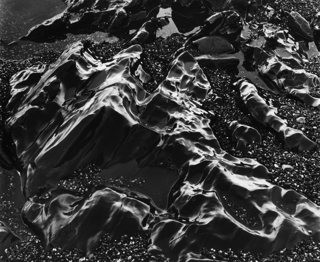 Detail of Wet Beach Rock Formations by Anonymous