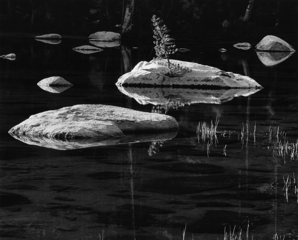Detail of Rocks in a Shallow Lake by Brett Weston