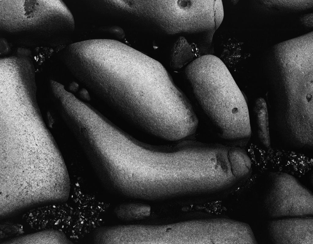 Detail of Erosion Forms by Brett Weston