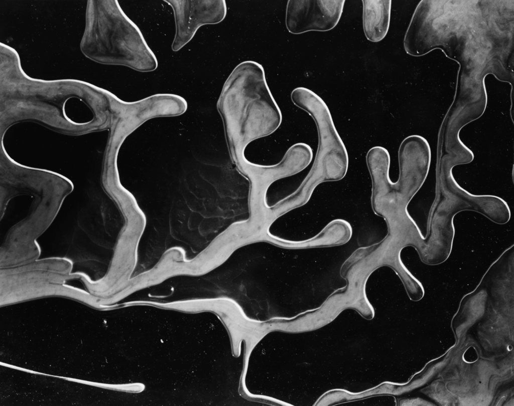 Detail of Frozen Liquids by Anonymous