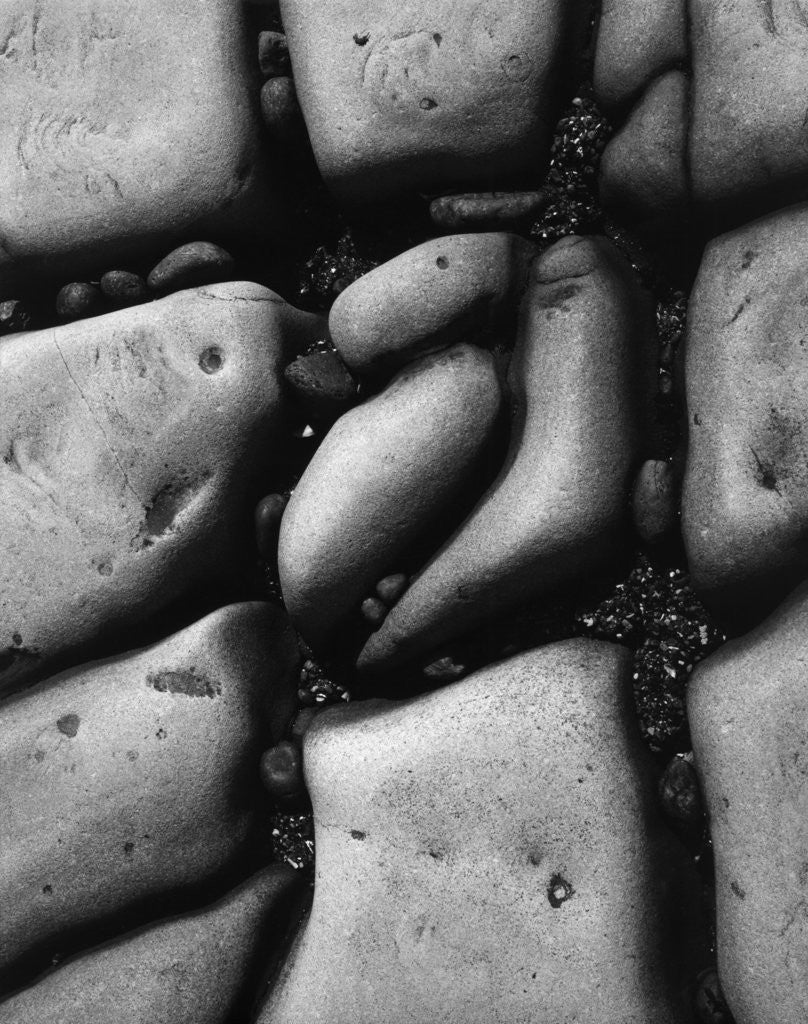 Detail of Beach Rocks by Brett Weston