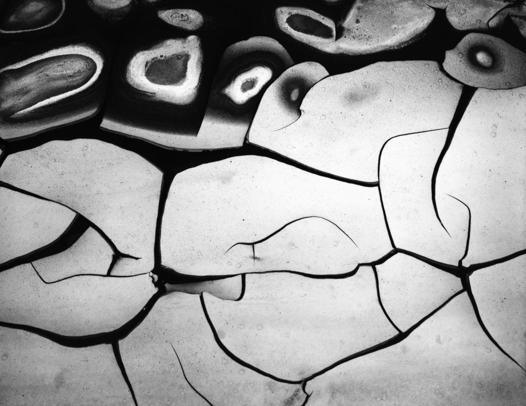 Detail of Cracks in Mud by Anonymous