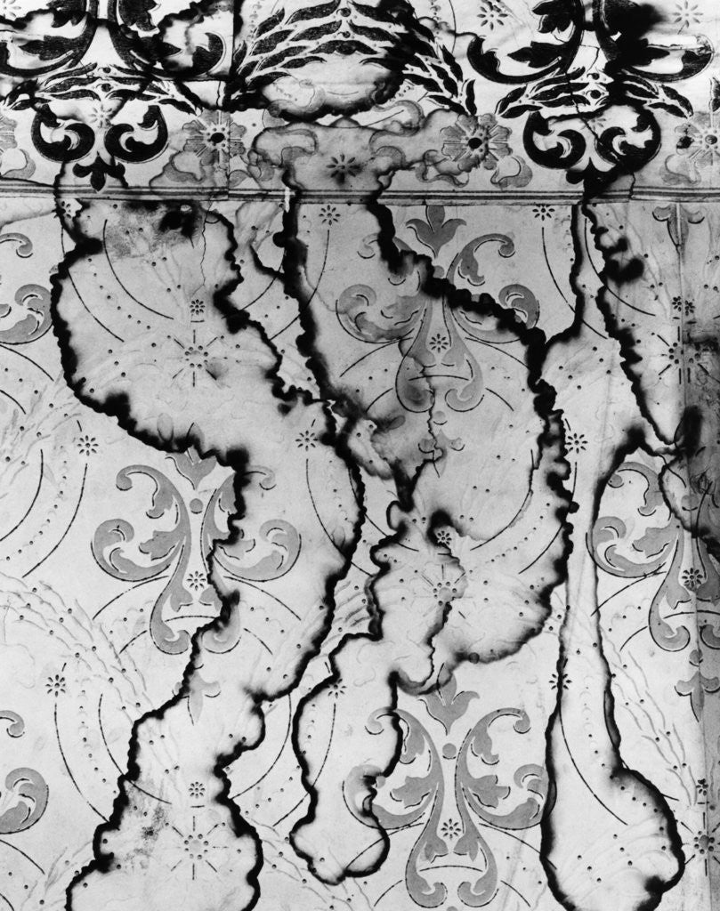 Detail of Stained Wallpaper by Corbis