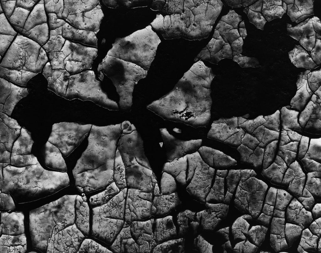 Detail of Cracked Surface by Anonymous