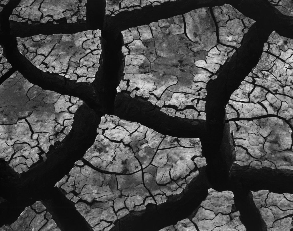 Detail of Cracks in Dried Mud by Anonymous