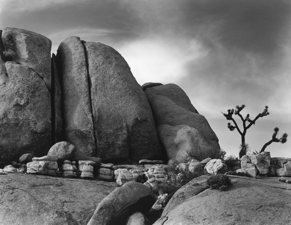 Detail of Desert Boulders by Anonymous