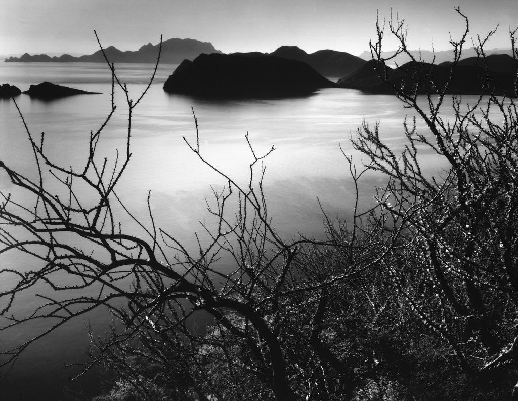 Detail of Cliff Overlooking Bay by Anonymous