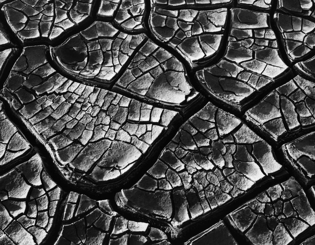 Detail of Dry Cracked Mud by Anonymous
