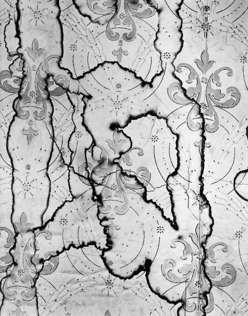 Detail of Stained Wallpaper by Anonymous