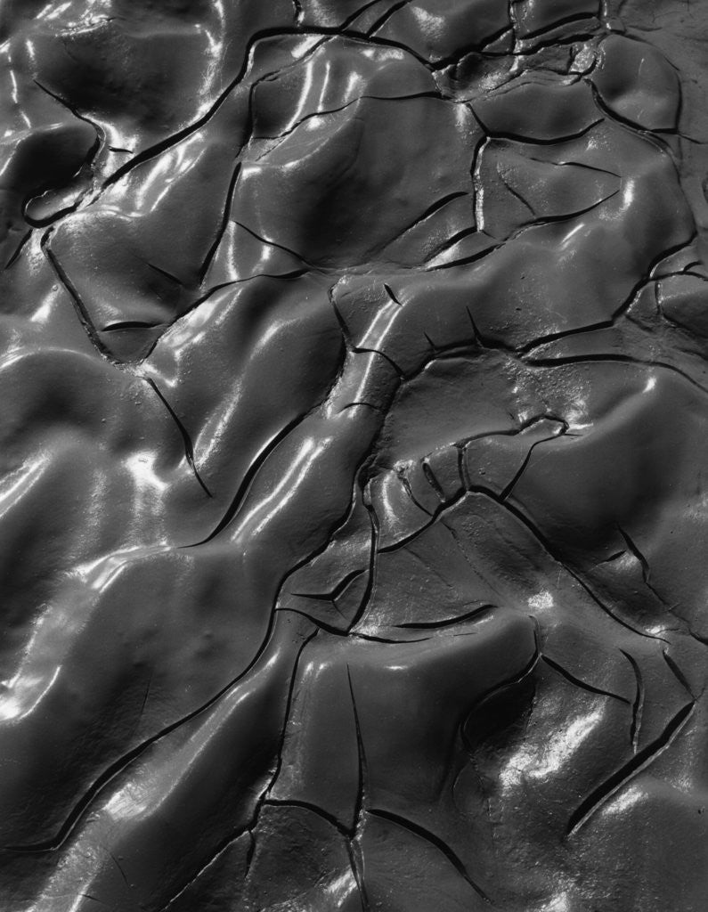 Detail of Shiny Wet Mud by Anonymous