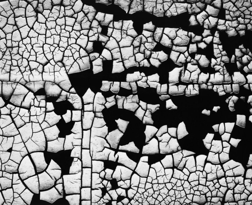 Detail of Cracked Paint by Anonymous