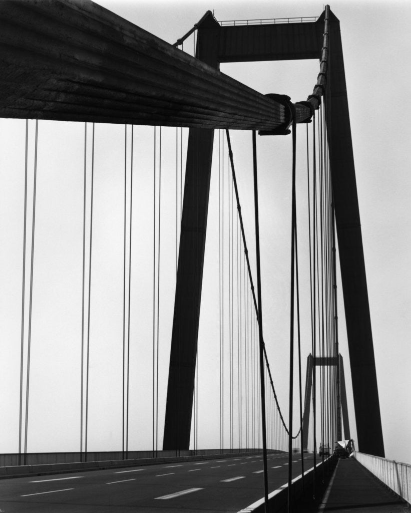 Detail of Suspension Bridge by Corbis