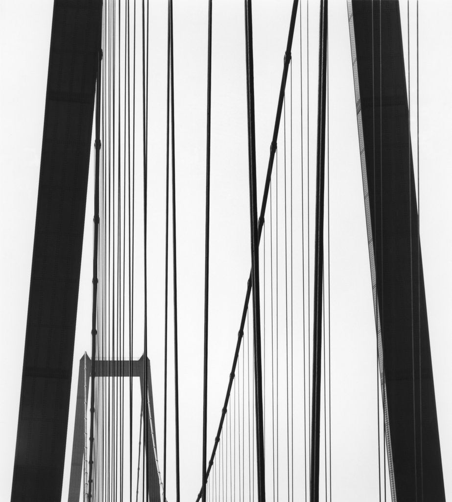 Detail of Bridge Towers by Corbis