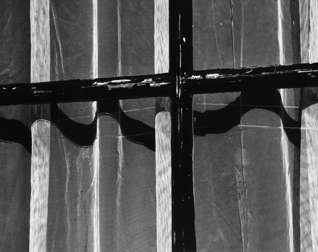 Detail of Window With Curtains, 1972 by Anonymous