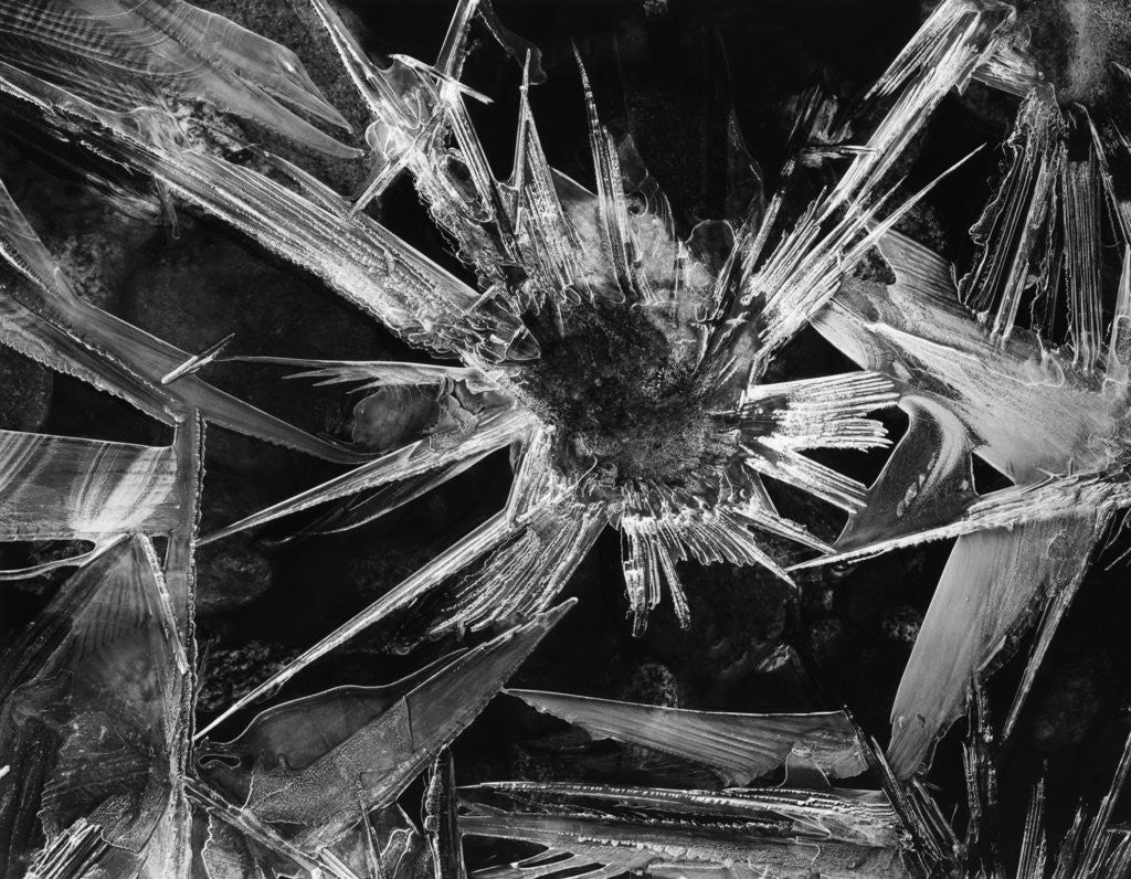 Detail of Ice Crystal, 1965 by Corbis
