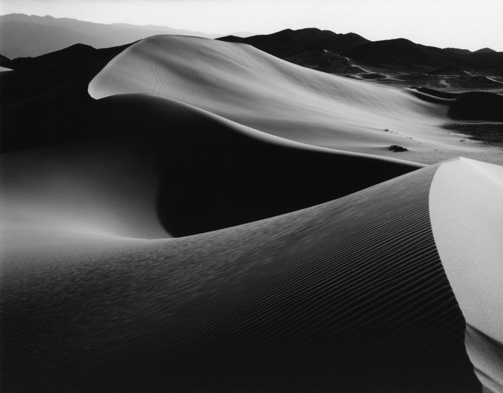 Detail of Curvy Ridge of Sand Dunes by Anonymous