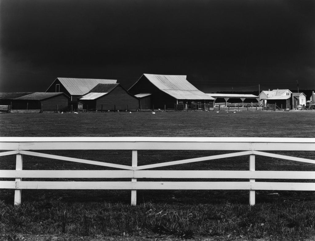 Detail of Virginia Farm, 1947 by Corbis