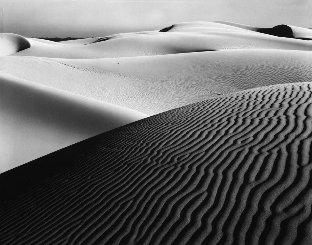 Detail of Dune Landscape by Anonymous