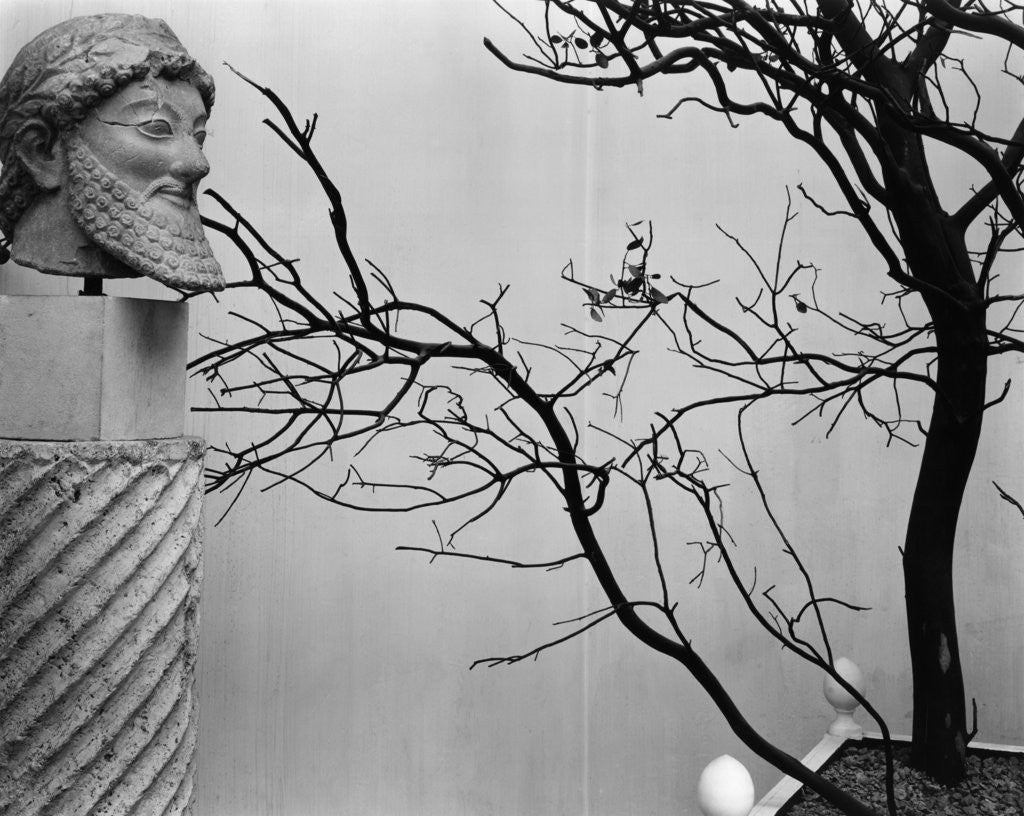 Detail of Archaic Greek Sculpture Bust and Tree, California, 1952 by Anonymous