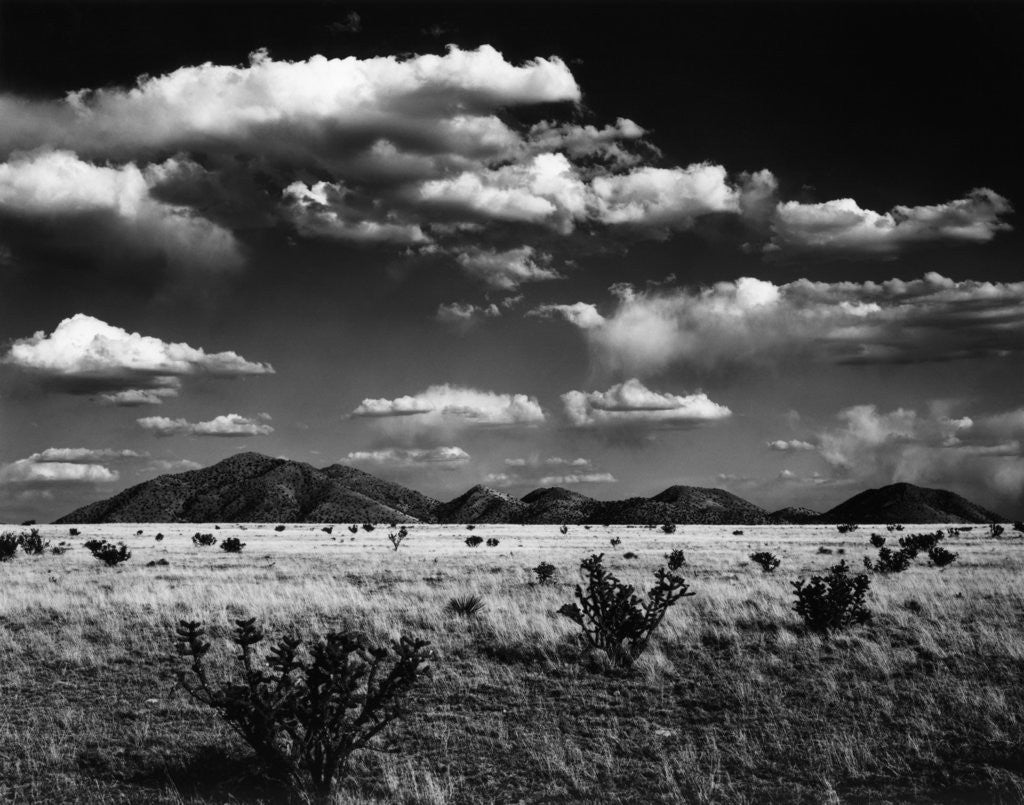 Detail of Desert Landscape, 1969 by Corbis