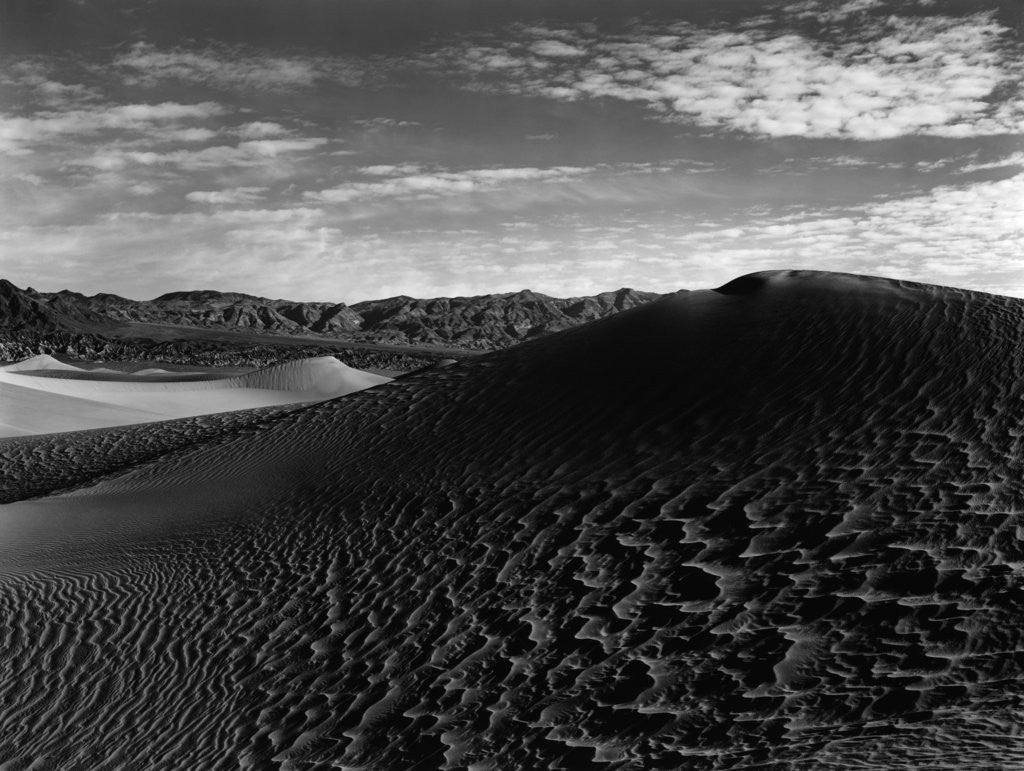 Detail of Sand Dunes, Death Valley, 1947 by Anonymous